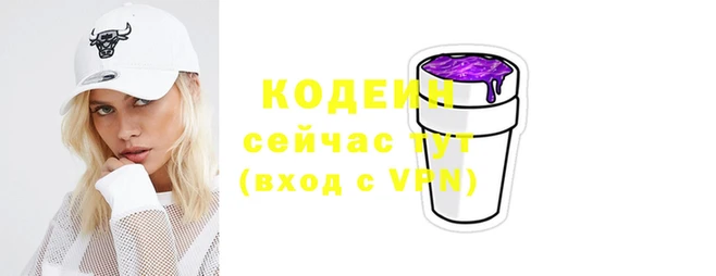 индика Одинцово